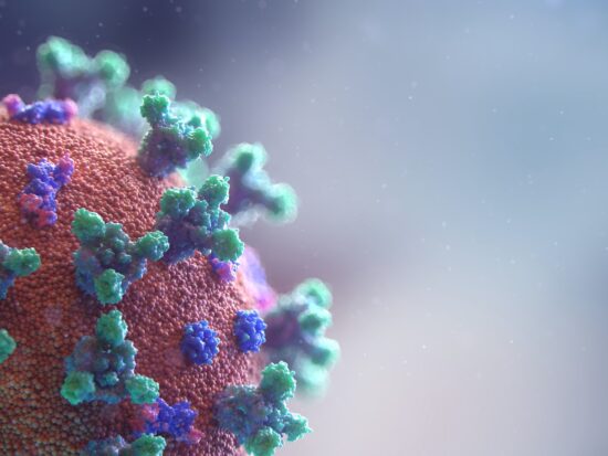 New visualisation of the Covid-19 virus